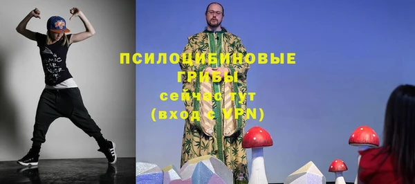 ГАЛЛЮЦИНОГЕННЫЕ ГРИБЫ Баксан